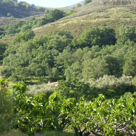 Rondero