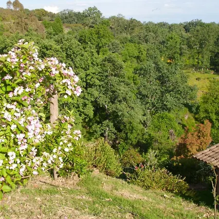 Rondero El Raso