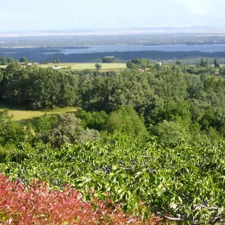 Rondero